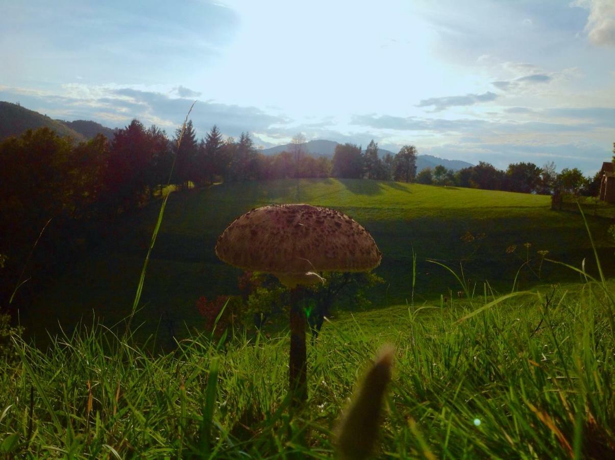 Kopanicky Dvor Vendégház Hodrushámor Kültér fotó